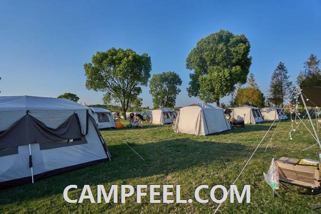 Best Inflatable Sleeping Pads for Camping Comfort