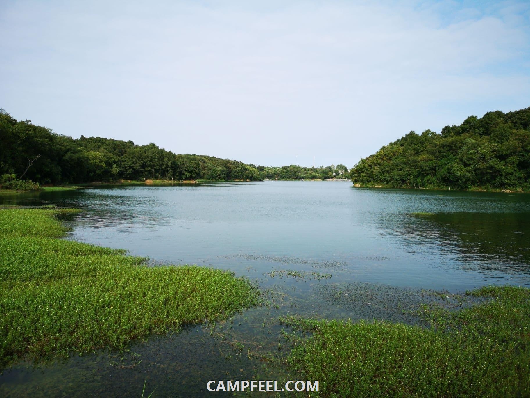 Top Camping Locations in Louisiana for Families and Friends