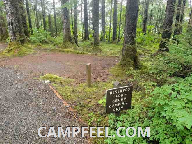 Exploring New Jersey's Scenic Tent Camping Areas for Nature Lovers