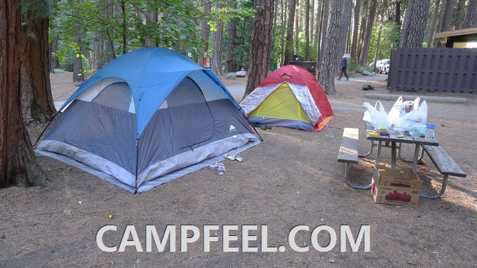 Discover the Best Camping Spots in New Mexico for Your Next Adventure