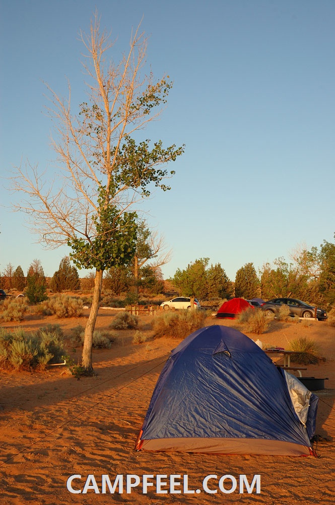 Unforgettable Camping Adventures Await You in Texas