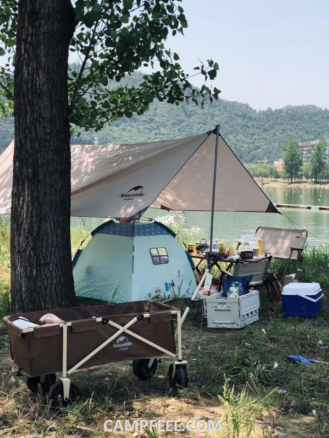 Discover the Best Tent Camping Spots in Maryland for Nature Lovers