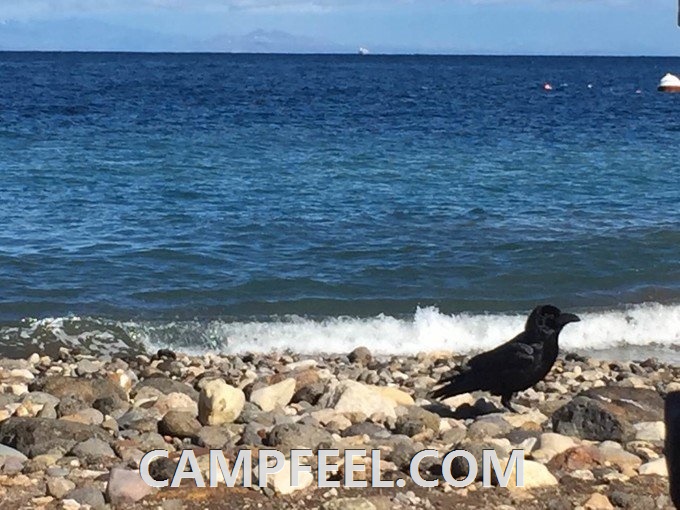 Exploring Historical Campsites and Trails