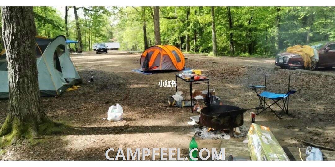 Explore Hidden Gems of Camping in West Virginia National Parks