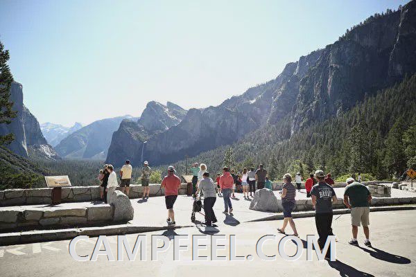 Top Family Friendly Campgrounds in Florida to Explore Together