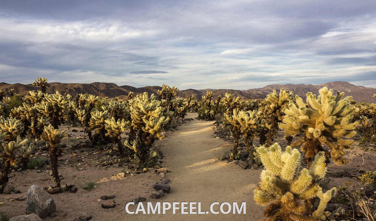 Explore the World's Top Most Breathtaking Parks